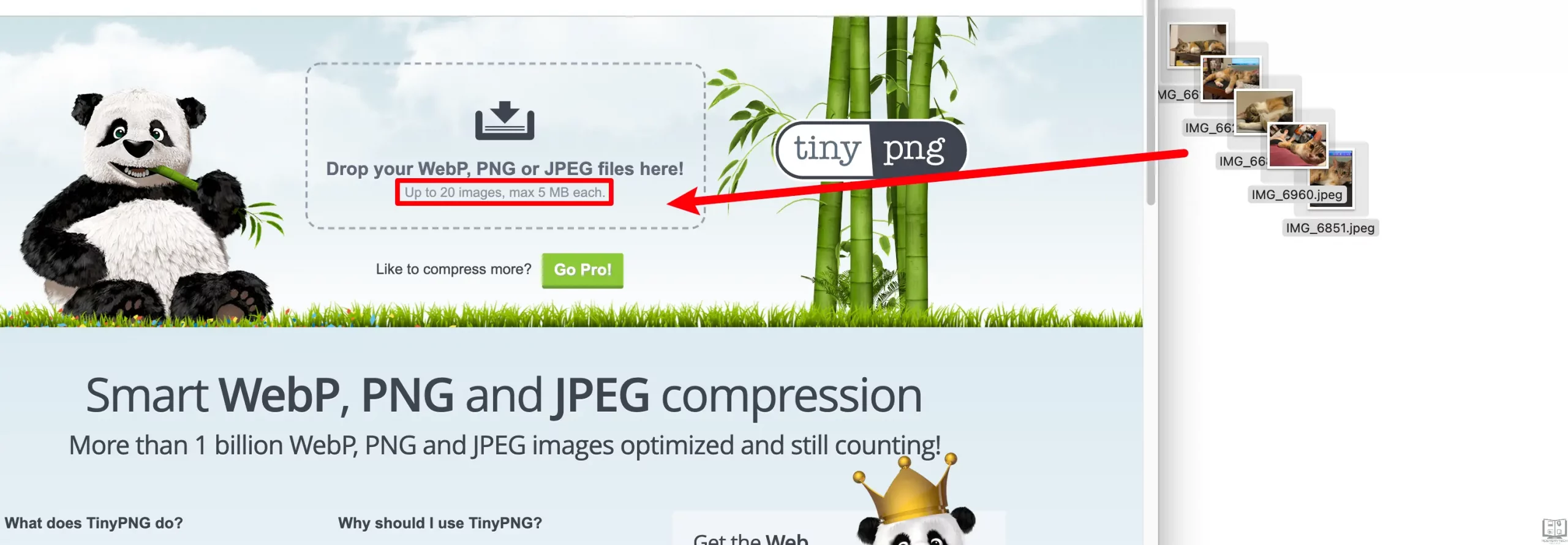 TinyPNG 網頁版｜線上免費圖片壓縮工具，支援PNG、JPEG、WebP格式！ 7