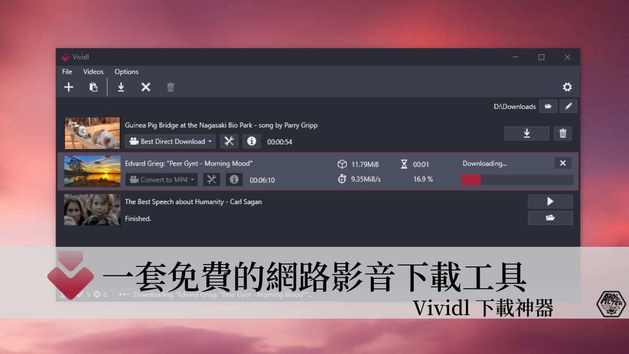 Vividl｜免費網路影片下載神器，支援Youtube/Instagram/Facebook/TikTok上百種影音網站！ 7