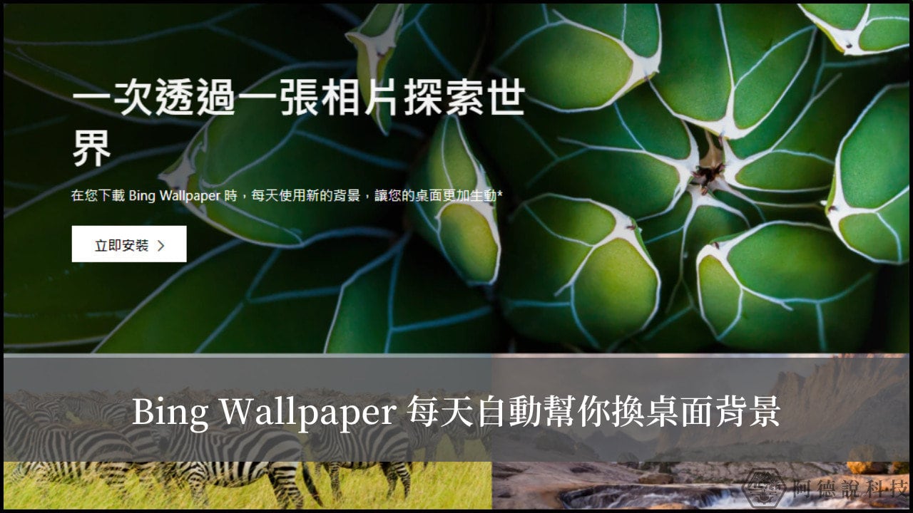Bing Wallpaper 每天自動幫你換電腦桌布！支援 Windows/macOS！ 1