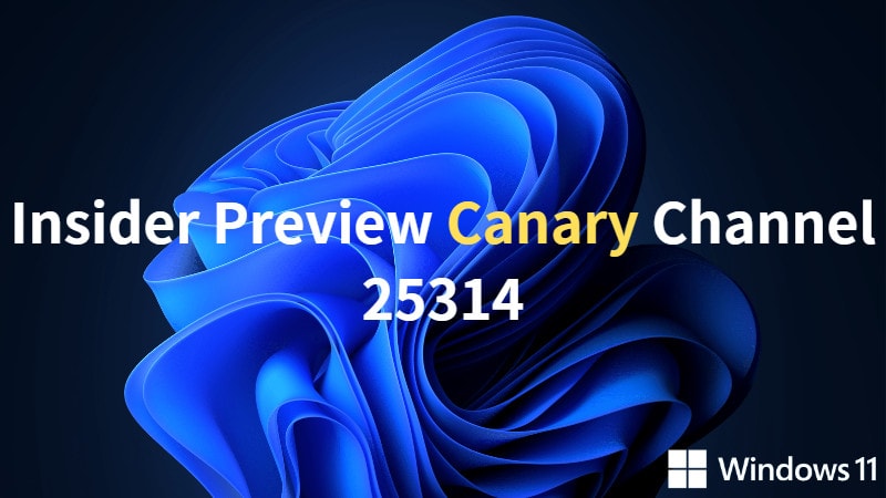Windows 11 25314 測試預覽版發布(Canary 通道)，更新內容總整理 5