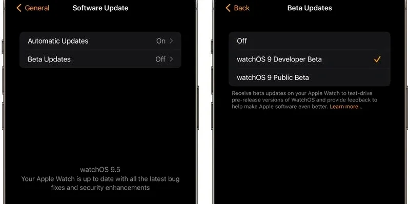 iOS 16.5 Beta 2 更新釋出，Siri 螢幕錄影被取消支援 8