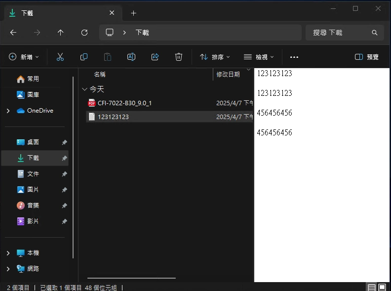 Windows 檔案總管效率翻倍！10 個必學實用技巧 (分頁/快速存取/預覽/快捷鍵) (Win10/11 適用 2025) 7