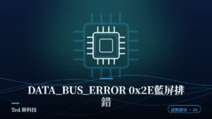 DATA_BUS_ERROR 0x2E 藍屏四個參數與記憶體排錯流程示意